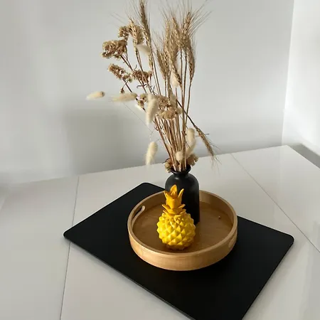 Apartamento Magnifique Neuf En Front De 41m2 , Loggia , Place De Parking Saint-Hilaire-de-Riez