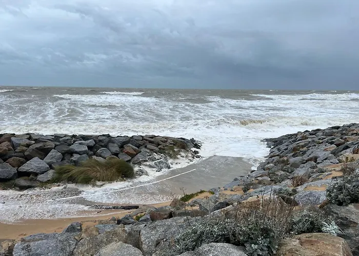 Magnifique Neuf En Front De 41m2 , Loggia , Place De Parking דירה *